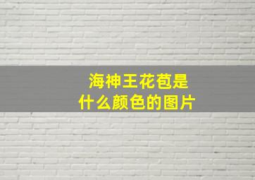 海神王花苞是什么颜色的图片