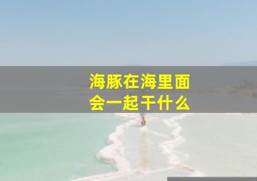 海豚在海里面会一起干什么