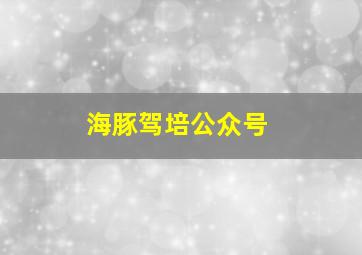 海豚驾培公众号