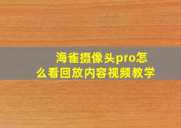 海雀摄像头pro怎么看回放内容视频教学