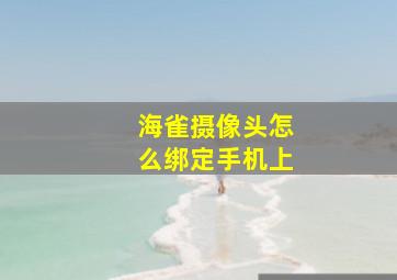 海雀摄像头怎么绑定手机上