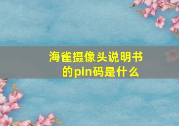 海雀摄像头说明书的pin码是什么