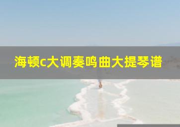 海顿c大调奏鸣曲大提琴谱