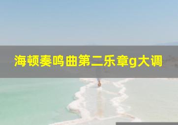 海顿奏鸣曲第二乐章g大调