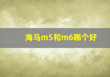 海马m5和m6哪个好