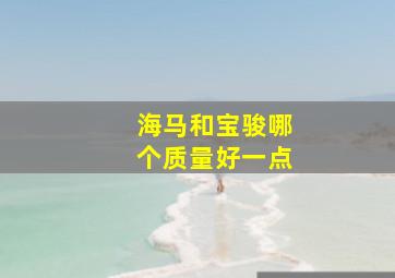 海马和宝骏哪个质量好一点