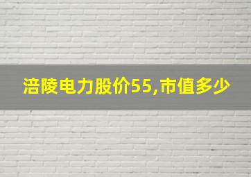 涪陵电力股价55,市值多少