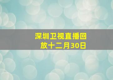 深圳卫视直播回放十二月30日