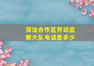 深汕合作区劳动监察大队电话是多少