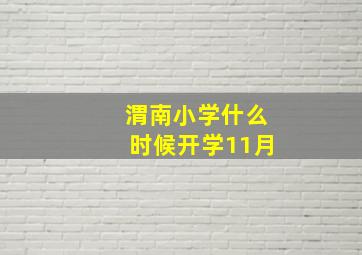 渭南小学什么时候开学11月