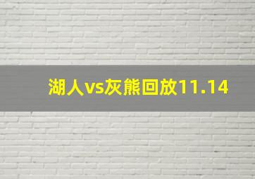 湖人vs灰熊回放11.14