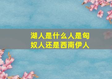 湖人是什么人是匈奴人还是西南伊人