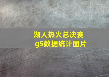 湖人热火总决赛g5数据统计图片