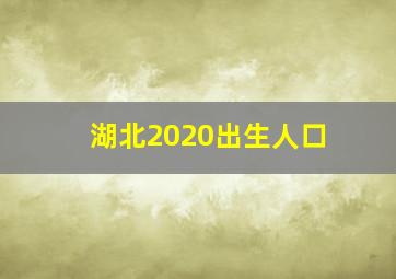 湖北2020出生人口