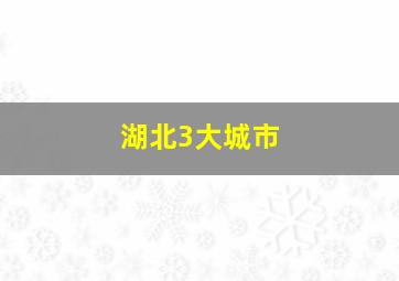 湖北3大城市