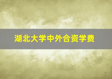 湖北大学中外合资学费