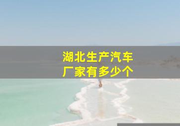 湖北生产汽车厂家有多少个