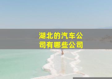 湖北的汽车公司有哪些公司