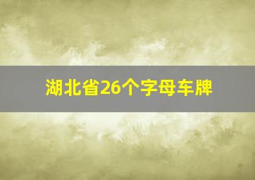 湖北省26个字母车牌