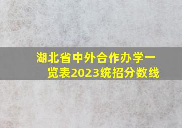 湖北省中外合作办学一览表2023统招分数线