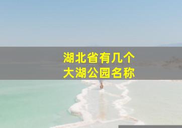 湖北省有几个大湖公园名称