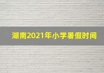 湖南2021年小学暑假时间