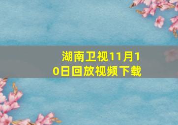 湖南卫视11月10日回放视频下载