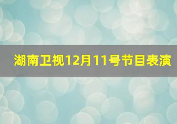 湖南卫视12月11号节目表演