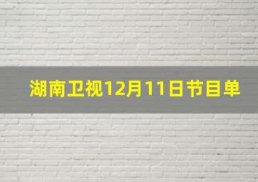 湖南卫视12月11日节目单