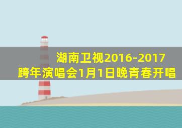 湖南卫视2016-2017跨年演唱会1月1日晚青春开唱