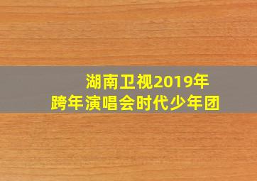 湖南卫视2019年跨年演唱会时代少年团