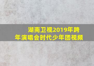 湖南卫视2019年跨年演唱会时代少年团视频