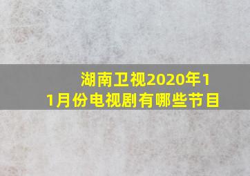 湖南卫视2020年11月份电视剧有哪些节目