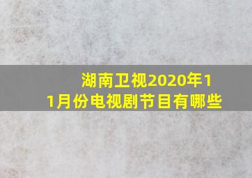 湖南卫视2020年11月份电视剧节目有哪些