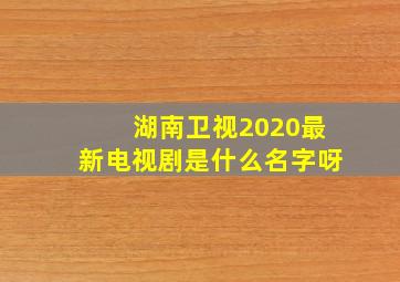 湖南卫视2020最新电视剧是什么名字呀