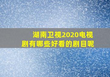 湖南卫视2020电视剧有哪些好看的剧目呢