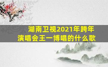 湖南卫视2021年跨年演唱会王一博唱的什么歌