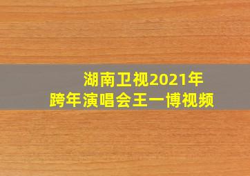 湖南卫视2021年跨年演唱会王一博视频