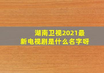 湖南卫视2021最新电视剧是什么名字呀