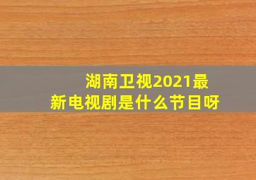 湖南卫视2021最新电视剧是什么节目呀