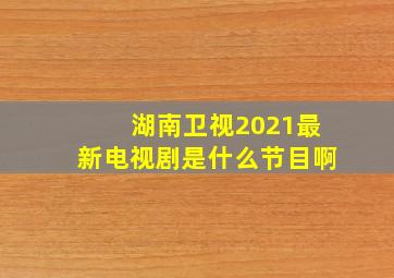 湖南卫视2021最新电视剧是什么节目啊