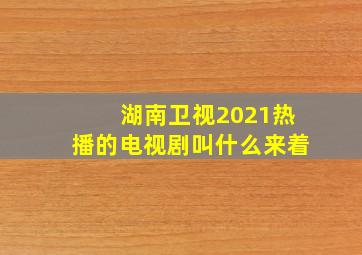 湖南卫视2021热播的电视剧叫什么来着