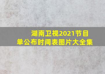 湖南卫视2021节目单公布时间表图片大全集