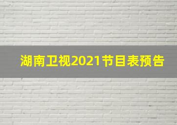 湖南卫视2021节目表预告