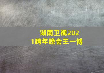 湖南卫视2021跨年晚会王一博