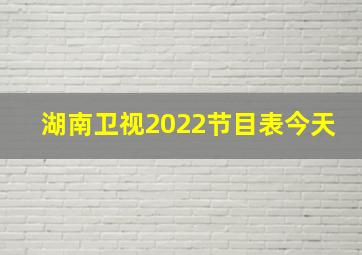 湖南卫视2022节目表今天