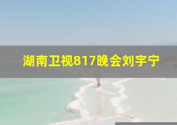 湖南卫视817晚会刘宇宁