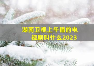 湖南卫视上午播的电视剧叫什么2023