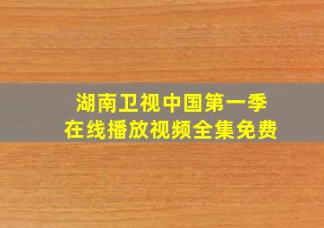 湖南卫视中国第一季在线播放视频全集免费