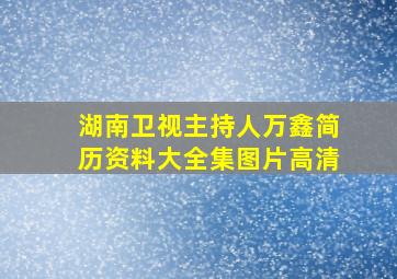 湖南卫视主持人万鑫简历资料大全集图片高清